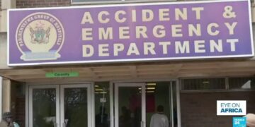 Zimbabwe's sick turn to herbalists over ailing health system