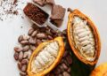 Chocolate Has a Sustainability Problem. Science Thinks It’s Found the Answer