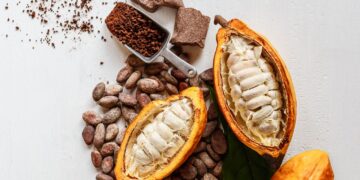 Chocolate Has a Sustainability Problem. Science Thinks It’s Found the Answer