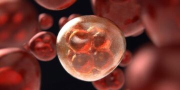 Hidden Culprits: Overactive Cells Linked to Diabetes