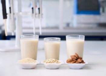 Are Plant-Based Milks As Healthy as You Think? New Study Challenges Assumptions