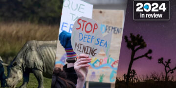 Rights, rhinos and Olympic revelry: Uplifting stories from 2024