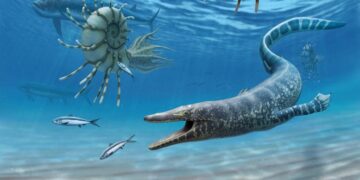 Cannibal Sea Dragons: Unveiling the Dark Secrets of Mosasaurs