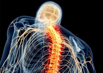 Scientists Reveal Simple and Accessible Way To Alleviate Chronic Pain