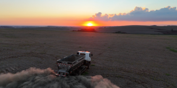 The proposed climate fix tech companies just spent millions on? Rocks.