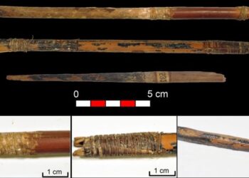 7,000-Year-Old Bowstring and Arrow Discovery Unlocks Secrets of Neolithic Archery