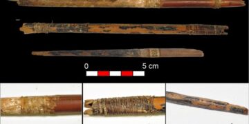 7,000-Year-Old Bowstring and Arrow Discovery Unlocks Secrets of Neolithic Archery
