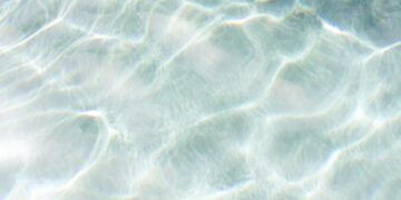 Scents That Remind Us of Summer | Wit & Delight