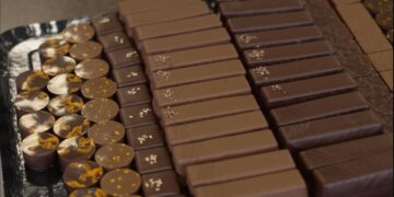 Bittersweet business: How the global cocoa industry is changing