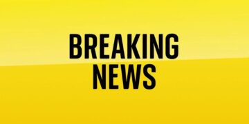 Romania’s top court annuls results of first round of presidential election | World News