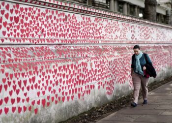 UK ‘not prepared’ for another pandemic, warns influential Lords group | Science, Climate & Tech News