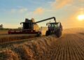 How climate change and red tape could be jeopardising UK access to affordable food | Money News