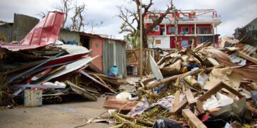 Cyclone survivors live ‘wretched existence’ on cut-off island of Mayotte | World News