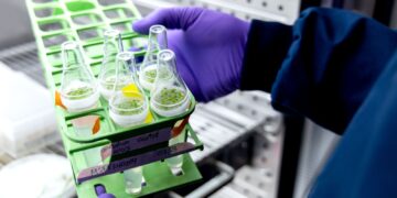 Oxford herbicide spinout Moa seeds $40m funding round | Money News