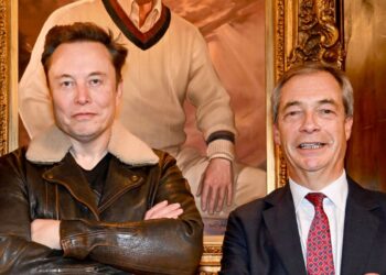 No ‘immediate’ plans to ban Elon Musk giving Nigel Farage’s Reform UK large donations – government | Politics News