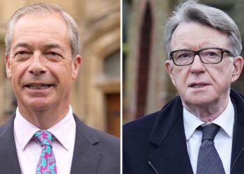 Nigel Farage willing to help Lord Mandelson negotiate with Donald Trump | Politics News