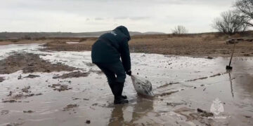 Oil slick from Russian tanker spill reaches Crimea