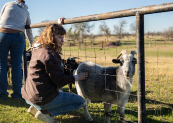 Kennedy’s Plan for the Drug Crisis: A Network of ‘Healing Farms’