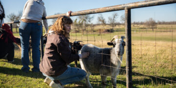Kennedy’s Plan for the Drug Crisis: A Network of ‘Healing Farms’