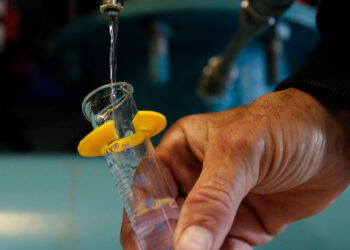 Study Links High Fluoride Exposure to Lower I.Q. in Children