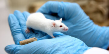 Only 5% of therapies tested on animals are approved for human use