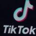 Trump will save TikTok if viable deal is on table, top adviser says