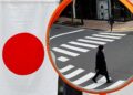 Has Japan truly escaped low inflation?