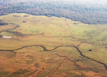 A sophisticated civilisation once flourished in the Amazon basin