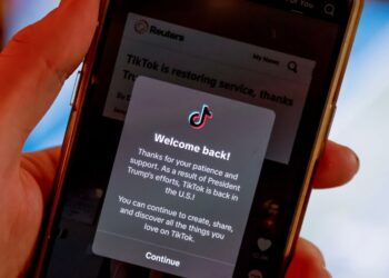 TikTok Ban and Trump Executive Order Lead to Tech Company Dilemma