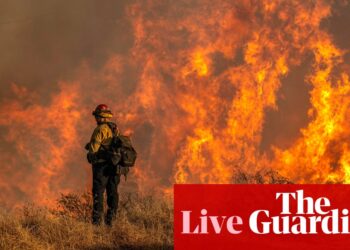 California fires live: around 35,000 LA homes and businesses without electricity as police issue warning over looters | California wildfires