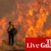 California fires live: around 35,000 LA homes and businesses without electricity as police issue warning over looters | California wildfires