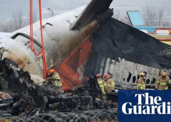 Black boxes on crashed South Korean plane cut out before impact, inquiry finds | South Korea plane crash