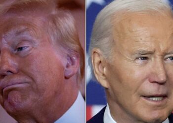 Trump Responds To Claim Biden Would’ve Beat Him