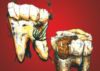 Rewriting Prehistory: Archaeologists Have Discovered That Our Ancient Ancestors Were Vegetarian