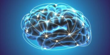 A Whole-Brain Phenomenon: New Research Challenges Old Theories of Intelligence