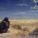 How Homo Erectus Mastered Desert Survival Over a Million Years Ago