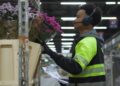 Dutch cut flower industry in hot water over pesticides