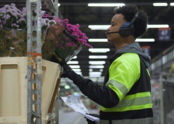Dutch cut flower industry in hot water over pesticides