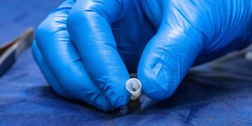 This Blood Vessel Was Grown in a Lab With Real Human Cells