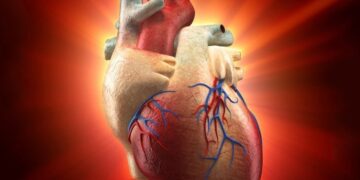 Can a Broken Heart Heal Itself? Science Unveils the Answer