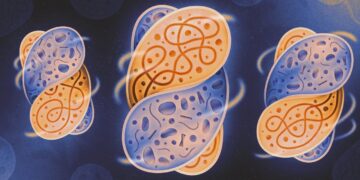 Scientists Recreate the Conditions That Sparked Complex Life