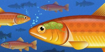 Could Humans Have a Brain Microbiome?