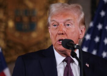 Donald Trump says TikTok will ‘most likely’ get 90-day pause from US ban | US News