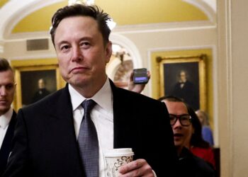 Elon Musk accused of censoring right-wing X accounts who disagree with him on immigration | Science, Climate & Tech News