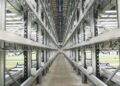 Could this be the future of farming? Inside Europe’s biggest vertical farm | Money News
