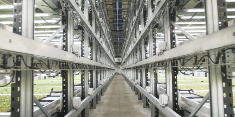 Could this be the future of farming? Inside Europe’s biggest vertical farm | Money News