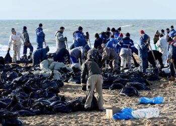 More than 30 dolphins wash up dead on beach after oil spill near southern Russia | World News