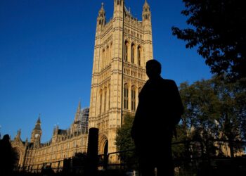 Parliament urged to begin mandatory DBS criminal record checks on new MPs and peers | Politics News