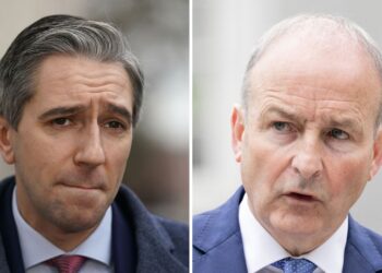 Ireland moves closer to forming a new government after reaching deal | World News