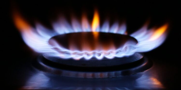 Holyrood’s winter fuel payment decision ‘direct consequence’ of Westminster move, court told | UK News